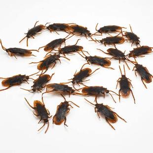 Special Lifelike Model Simulation Fake Rubber Cock Cockroach