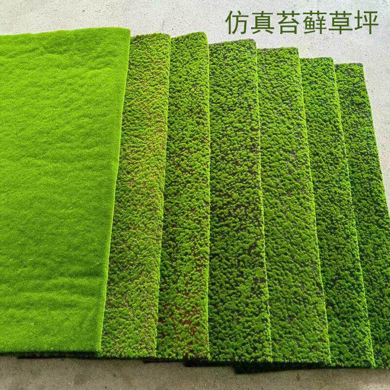 仿真苔藓假草坪草皮青苔盆景摄影装饰绿植微景观造景植绒装饰
