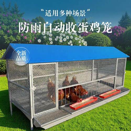 鸡笼子家用室外防雨自动收蛋防啄防黄鼠狼防鼠加厚不锈下蛋养殖笼