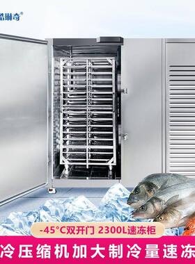 优选印度尼西亚包子馅料速冻生产线-45度立式工业双门低温速冻机