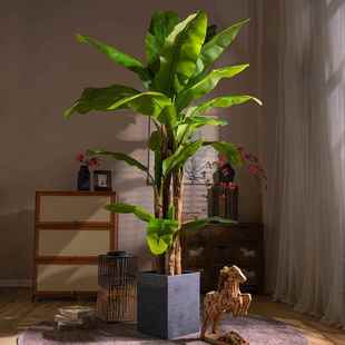 高档超大型仿真绿植阔叶芭蕉树室内仿生热带植物造景假树装饰摆件