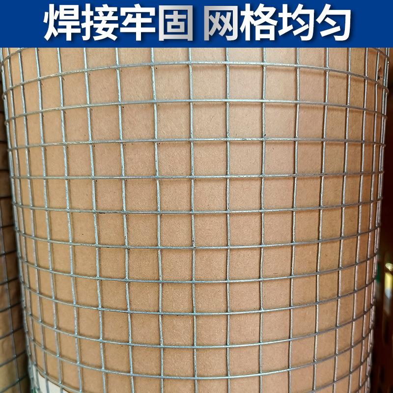 镀锌电焊网铁丝网围栏防鼠网蛇笼网阳台防坠防锈热镀锌围栏网