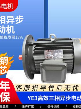 YE3系列三相异步电动机现货YE3-80M1-4-0.55W高散热电机马达