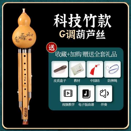 正品九孔葫芦丝乐C调小学生专成器人初学者降调小BD用调GF调滇南