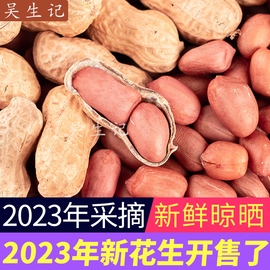 2023农家自种带壳生花生，新鲜晒干高产种子薄壳，原味粉红皮花生米