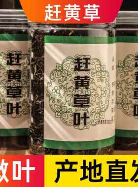 正品古蔺野生特级赶黄草中药材转氨酶益肝茶四川赶黄草茶搭赶黄花