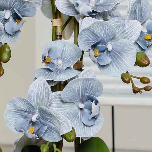 蝴蝶兰花盆高级仿真带真中仿装饰陶瓷成品感花盆栽轻四方古风奢