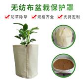 园林植物防霜防冻罩耐磨套树袋花卉盆栽减弱紫外线无纺布保护罩