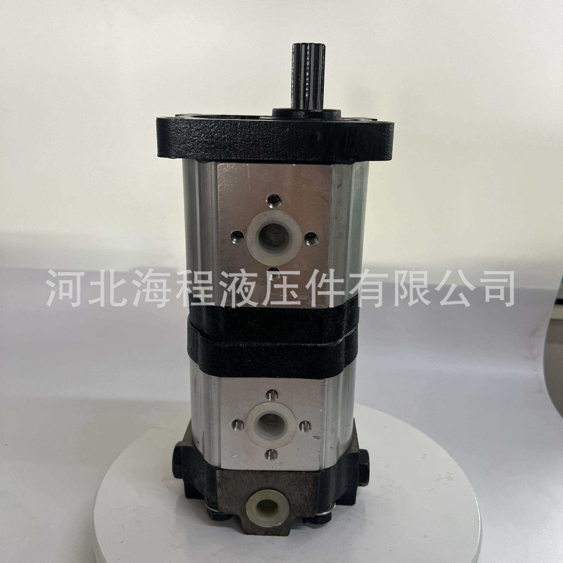 CBTt-F320/310 东方红配套双联恒流泵 E571001