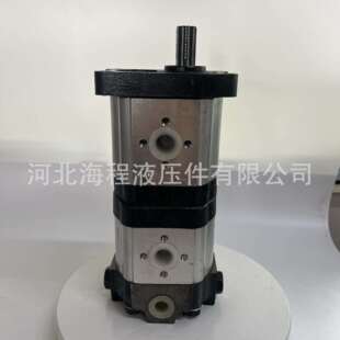 CBTt 310 东方红配套双联恒流泵 E571001 F320