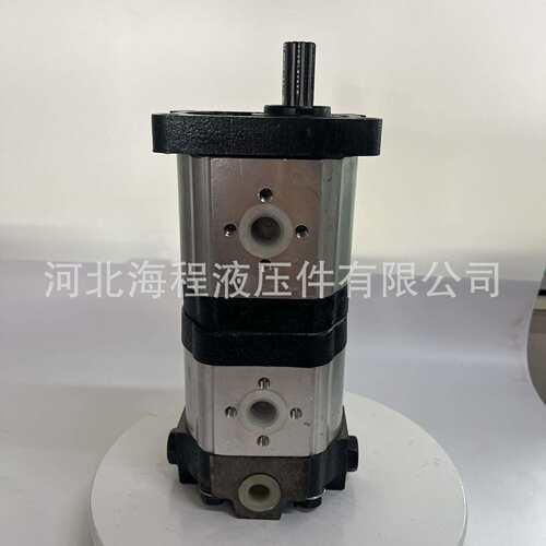 CBTt-F320/310 东方红配套双联恒流泵 E571001