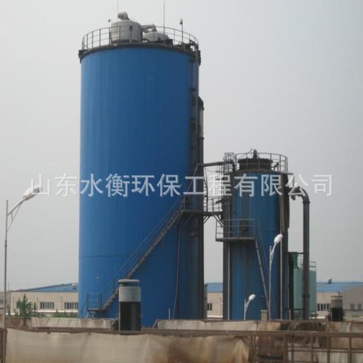 水衡环保厌氧塔安装厌氧反应器 污水处理设备