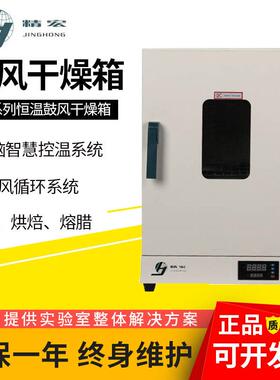 上海精宏DHG-9246A电热鼓风干燥箱恒温垂直流实验室样品干燥300度