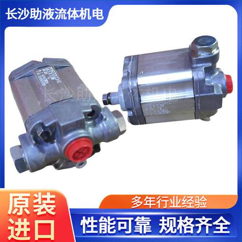 马祖奇Marzocchi风电行业用微型动力元齿轮泵双向泵0.25R48