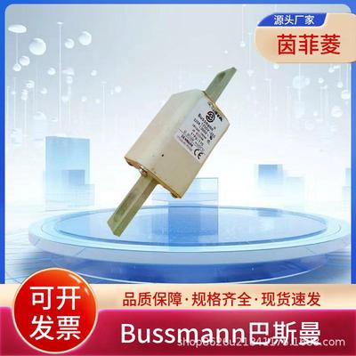 Bussmann巴斯曼熔断器170M3694 170M3695 170M3696 170M3697原装