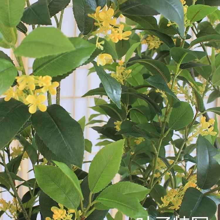 真绿桂花树型客厅民210宿餐饮酒店铺大落地装饰假树端月桂盆植栽