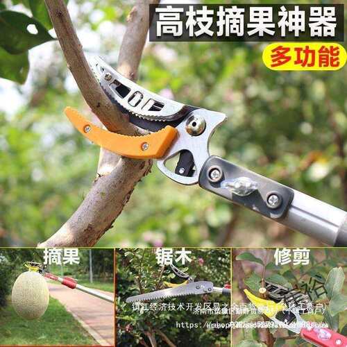 摘荔枝伸缩杆高空龙眼黄皮枇杷多功能果树采摘果器加长修枝剪