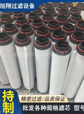 爱德华E300真空泵滤芯油雾分离器370724