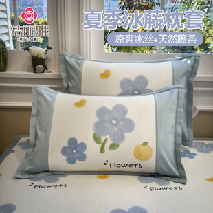 夏季 双人卡通枕芯内胆套 新款 冰丝枕套单个冰藤枕头套儿童一对装