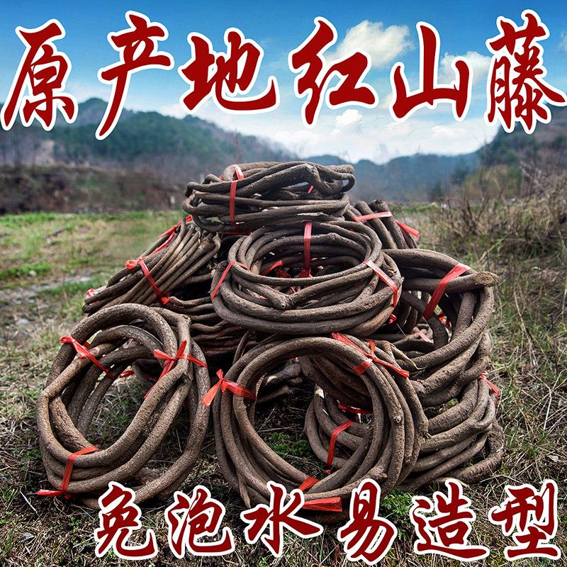 树藤枯藤藤条藤蔓植物葡萄叶缠绕造景阳台管道装饰商务礼品绿植