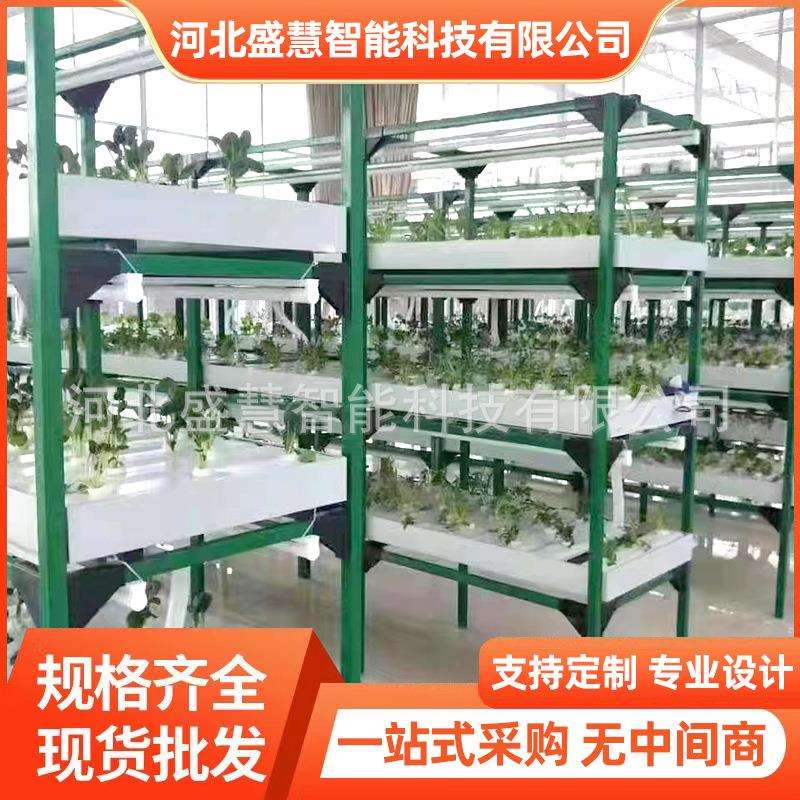 养殖蘑菇架菌架温室大棚食用菌培养架蘑菇培菌房多层菌菇种植架