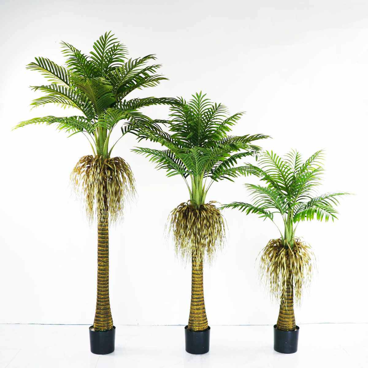 植绿仿真盆栽橱窗物尾假植室内外葵造景树葵散凤尾盆景葵植物