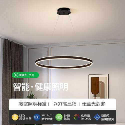 客厅842灯202灯5新款吊简约现代厅主灯圆客环卧室极简餐厅灯具357