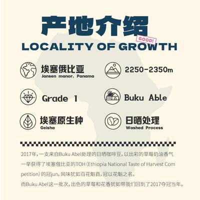咖臣请回答2017！花魁西达摩BUKU日晒浅中烘焙手冲精品咖啡豆150g