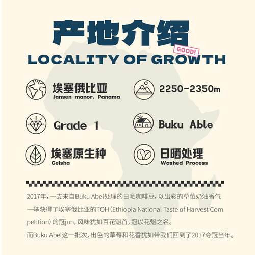 咖臣请回答2017！花魁西达摩BUKU日晒浅中烘焙手冲精品咖啡豆150g