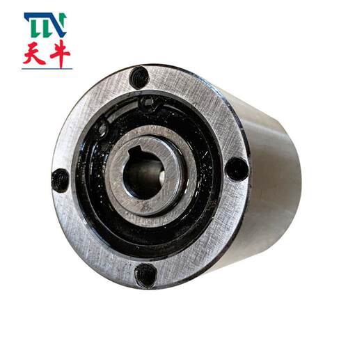 天牛厂家供应DN48*50-10双向离合器逆止器