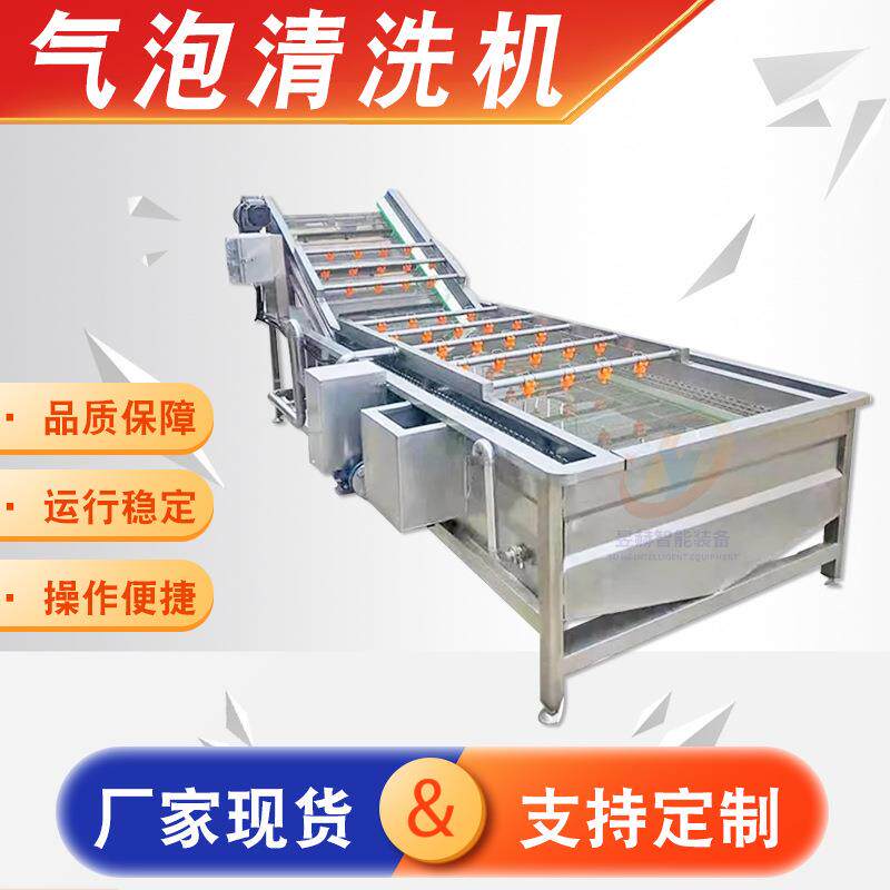 大枣水果气泡清洗机全自动水果蔬菜喷淋清洗机坚果清洗流水线