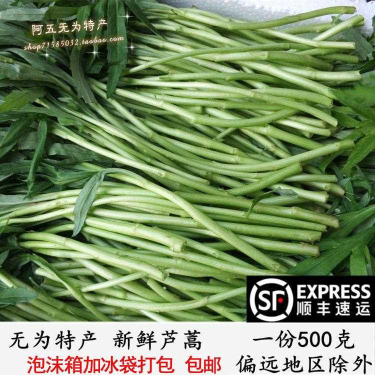 安徽无为特产吕耗菜泥耗子芦蒿藜蒿农家种植新鲜蔬菜1份1斤起包邮