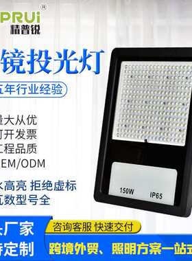 透镜款投光灯跨境草坪景观灯具道路50W100W150W200W高光路灯