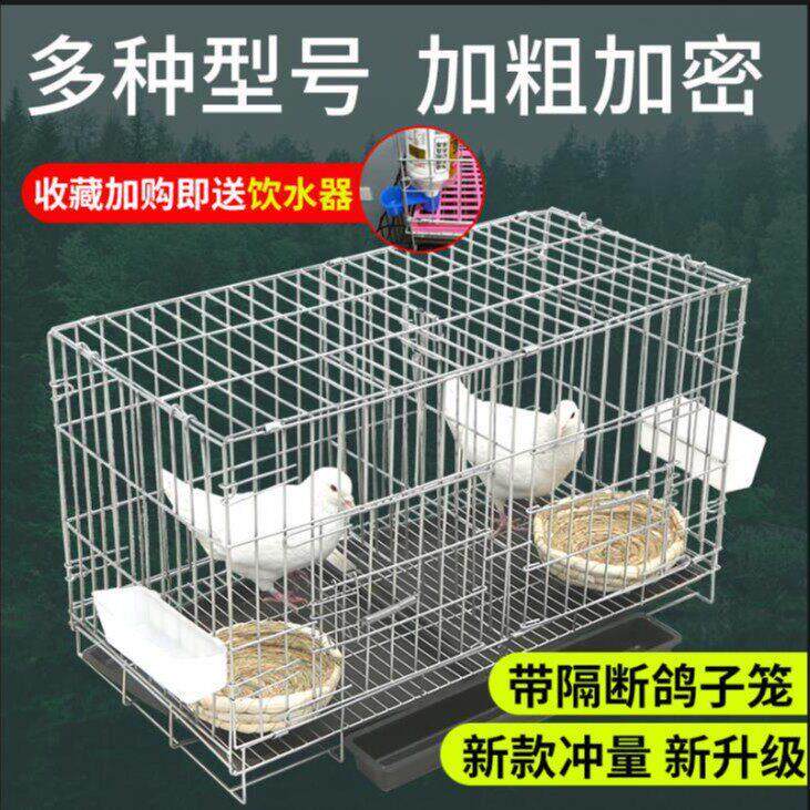 鸽子笼子家用养殖笼折叠配对笼鸡笼用品用具繁殖宠物加密鸽笼鸟笼