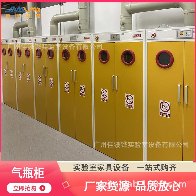 厂家直销全钢气瓶柜实验室防泄漏存储气瓶柜单瓶双瓶三瓶气瓶柜