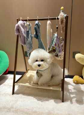 【毛孩子的衣帽间】宠物衣架落地狗狗衣架猫咪衣架衣服收纳架子