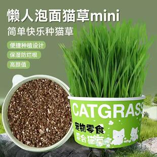 Instant Noodle Cup Person Hairba Hydroponic Grass Lazy Cat