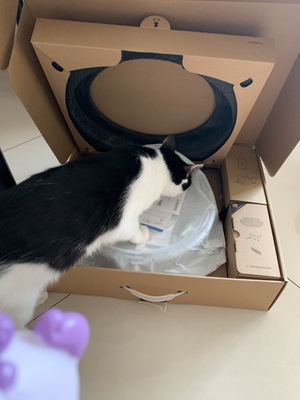 大神点评科沃斯dm65好还是DD35好？功能上差异在哪里？