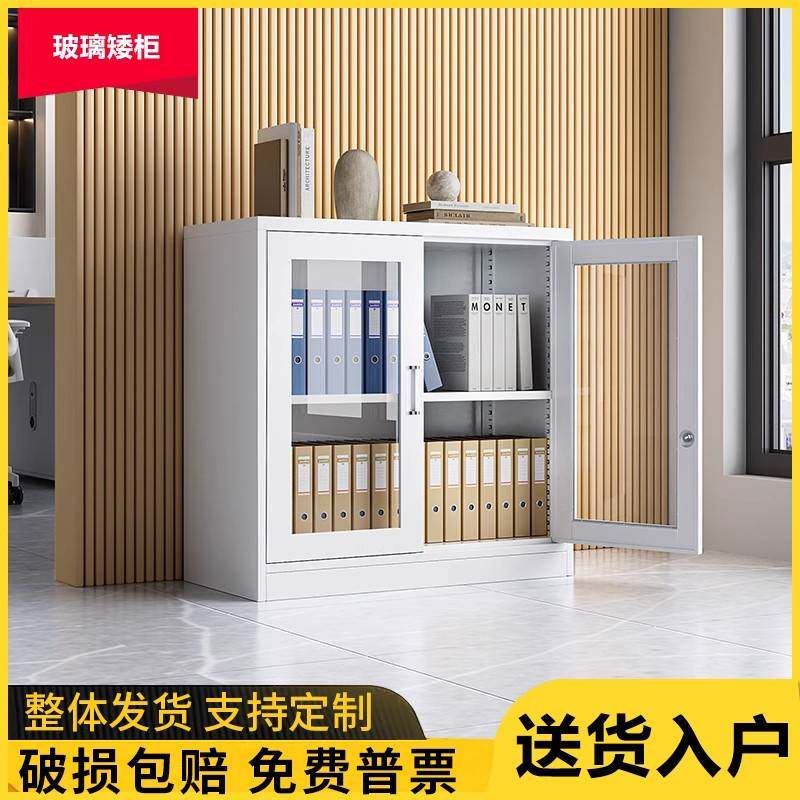 办公铁皮柜文件柜小矮柜家用收纳柜玻璃书柜资料档案柜储物桌下柜