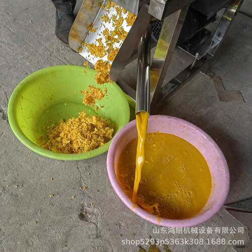 苹果汁加工设备大型挤压粉碎脱汁机 渣汁分离水果榨汁机