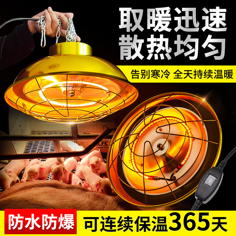 保温灯养殖场卤素猪仔仔猪灯罩小猪暖灯取暖灯保温灯泡加热灯其他,机械设备,农业机械/园林设备/畜牧设备,淘宝优惠券,粉丝福利购,淘宝优惠卷