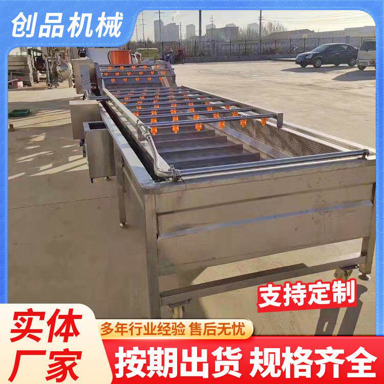 气泡清洗机枇杷芒果莲雾水果表面除尘冲浪式清洗设备创品