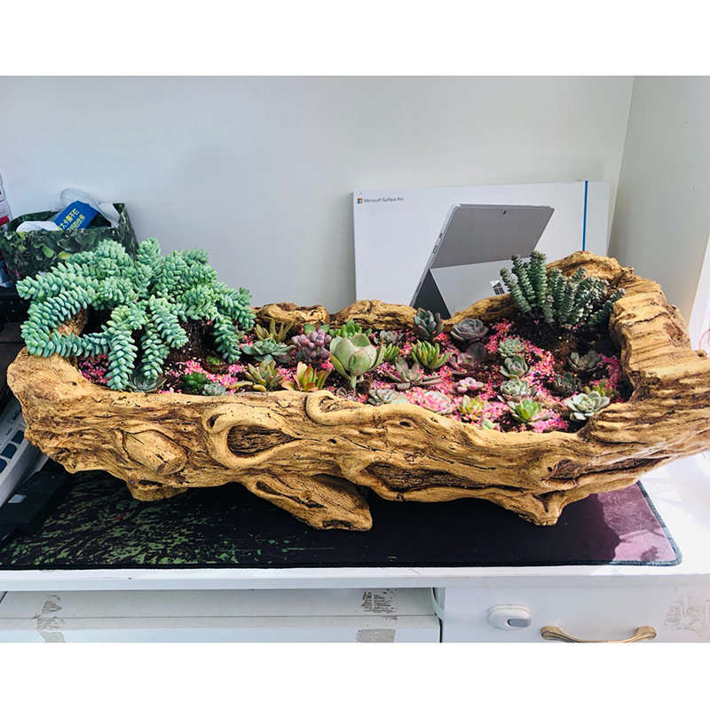 仿树头大花盆树根大号多肉花盆绿植拼盘户外阳台庭院外贸直供