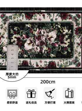 芙绒毯tpr地垫大面积铺德客厅地全毯地垫加JOZ厚防滑吸水可水洗脚