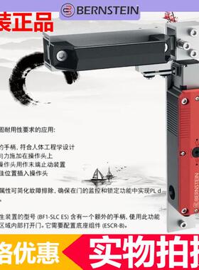 博恩斯坦SLC-M-024-11/11-R4电子制造设备配附件锁门机械及行业设