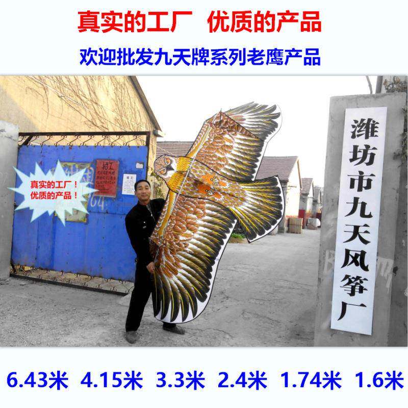 潍坊九天风筝厂新款多品种前后撑杆金鹰平面鹰特大钢老鹰风筝
