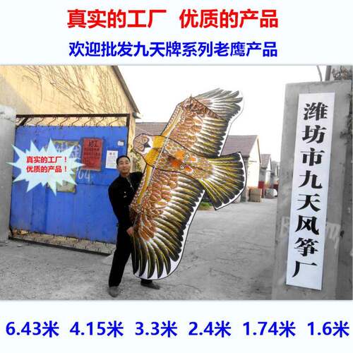 潍坊九天风筝厂新款多品种前后撑杆金鹰平面鹰特大钢老鹰风筝