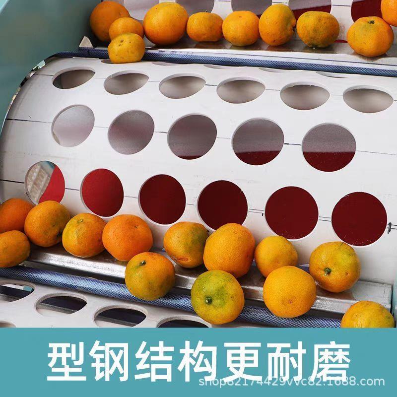 5桶水果分选机选果分级机振动筛分机筛选机橙子百香果柑橘分拣机