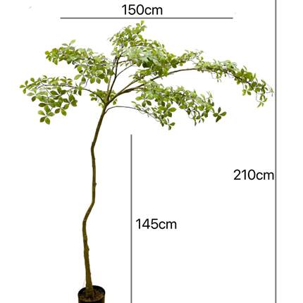 含阳 仿真绿植树 榄仁树 室外园林造景家居装饰 橱窗大厅摄影派件