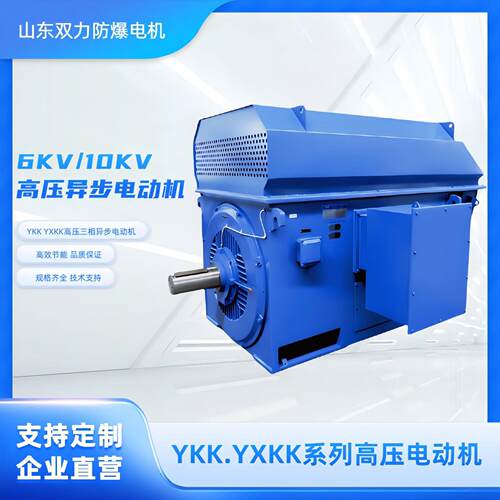 厂家YYXRR系列高压三相异步电机6V10VY450电机